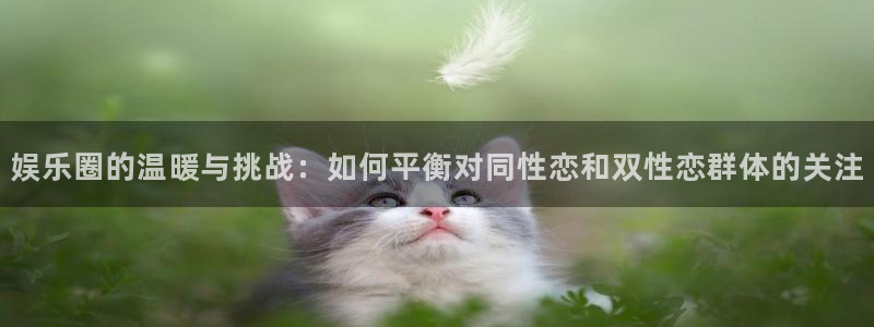 jjb竞技宝官网
