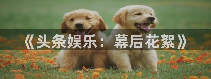jjb竞技宝(中国)